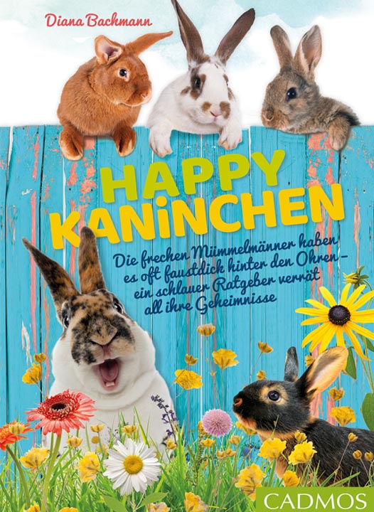 happy kaninchen cover buch