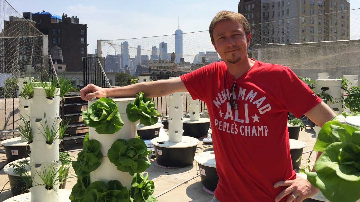Vom Dach auf den Teller – Die Food Revolution von oben