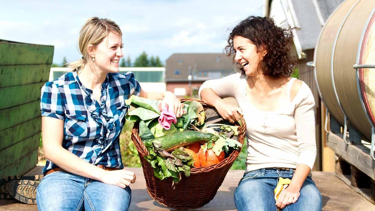 "meine ernte" bringt euch in den Garten