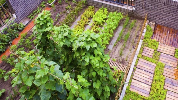 Grünstadt Revier – Gärtner Johannes von Ehren zum Urban Gardening