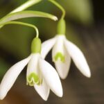 thinkstockphotos.com