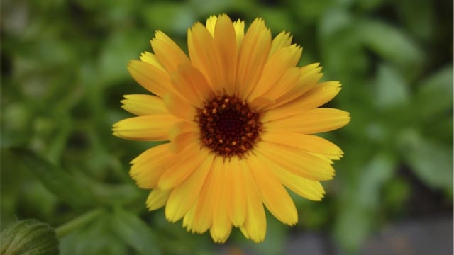 thinkstockphotos.com