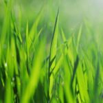 thinkstock
