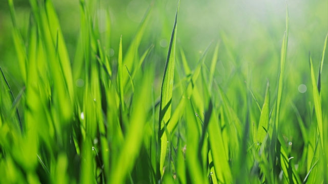 thinkstock