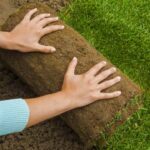 thinkstockphotos.de