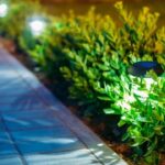 thinkstockphotos.de
